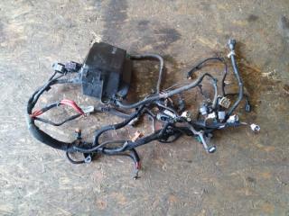 Проводка подкапотная NISSAN TERRANO 2019