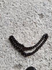 Цепь масляного насоса Volkswagen Passat 2004 Б/У Цепь масляного насоса Volkswagen Passat 2004