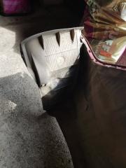 Подкрылок задний правый Kia Rio 2013