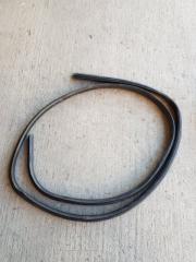 Уплотнитель дверного проема Ford Focus 2005