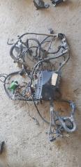 Проводка подкапотная Ford Focus 2008