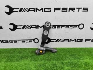 Петля крышки багажника правая BMW X6 2023