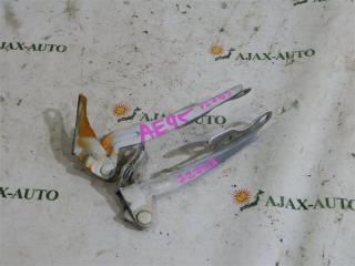 Петля капота TOYOTA CARIB