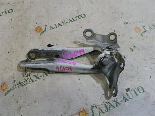 Петля капота TOYOTA PLATZ