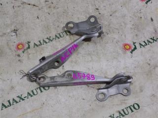 Петля капота TOYOTA PLATZ