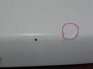 Крышка багажника TOYOTA CORSA контрактная Крышка багажника TOYOTA CORSA