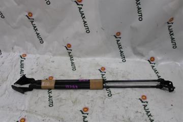 Амортизатор задней двери NISSAN DUALIS NJ10 1 ракурс