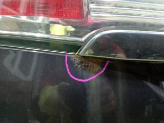 Дверь задняя NISSAN ELGRAND NE52 1 ракурс