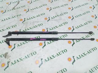 Амортизатор задней двери NISSAN ELGRAND E52 1 ракурс