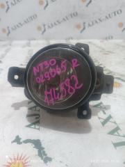 Туманка передняя правая NISSAN X-TRAIL контрактная Туманка передняя правая NISSAN X-TRAIL