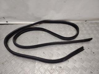 Фото запчасти уплотнитель двери передний левый Renault Logan 2007 контрактная запчасть Запчасть уплотнитель двери передний левый Renault Logan 2007