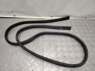 Фото запчасти уплотнитель двери передний левый Renault Logan 2007 контрактная запчасть Запчасть уплотнитель двери передний левый Renault Logan 2007