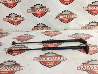 Амортизатор двери багажника задний NISSAN MURANO