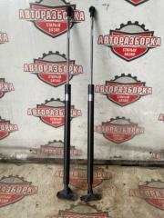 Амортизатор двери багажника TOYOTA SUCCEED 2019