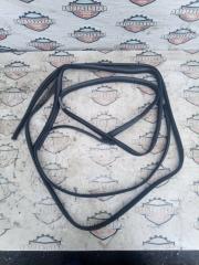 Уплотнитель двери TOYOTA CAMRY 1997 контрактная Уплотнитель двери TOYOTA CAMRY 1997