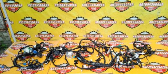 Коса салона HONDA FREED+ 2022