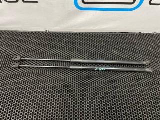 Амортизаторы багажника Mercedes-Benz B-Class 2013