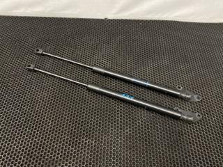 Амортизаторы багажника Volkswagen Tiguan 2012