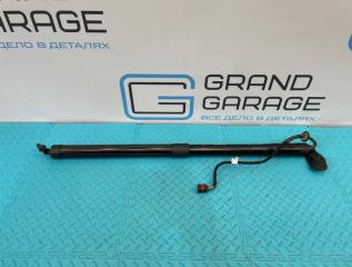 Амортизатор багажника задний левый Porsche Cayenne 2013 контрактная Амортизатор багажника задний левый Porsche Cayenne 2013