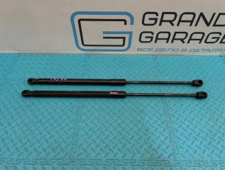 Амортизаторы багажника Mercedes-Benz A-Class 2010