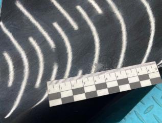 Крыло переднее левое 5-Series 2010 F07 N55B30A 3.0