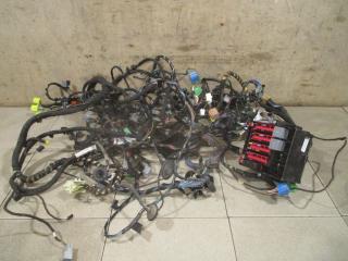 Фото запчасти проводка салонная Ford Fiesta 2008 Б/У запчасть Запчасть проводка салонная Ford Fiesta 2008