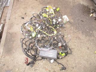 Фото запчасти проводка подкапотная Chevrolet Lacetti Б/У запчасть Запчасть проводка подкапотная Chevrolet Lacetti