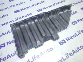 Защита Toyota Voxy Б/У Защита Toyota Voxy