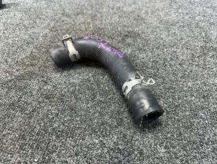 Патрубок радиатора верхний Nissan Tiida Latio 2010