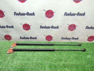 Фото запчасти амортизатор багажника CHEVROLET HHR 2007 контрактная запчасть Запчасть амортизатор багажника CHEVROLET HHR 2007