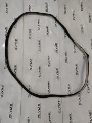 Запчасть уплотнительная резинка дверного проёма задняя правая NISSAN TEANA 2007-2011