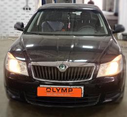 Стекло двери заднее левое Octavia 2004-2013 1Z3 Стекло двери заднее левое Octavia 2004-2013 1Z3