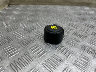 Крышка расширительного бачка Qashqai+2 2012 JJ10 MR20DE