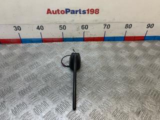 Антенна X-TRAIL 2010 T31 M9R