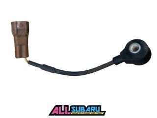 Датчик детонации Subaru Legacy 2008