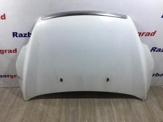 Капот Ford Focus 2010