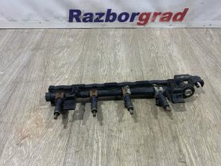 Запчасть топливная рампа Ford Ecosport 2014