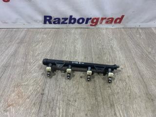 Топливная рампа Skoda Fabia 2012