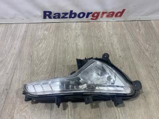 Запчасть фара противотуманная правая Kia Sportage 2011
