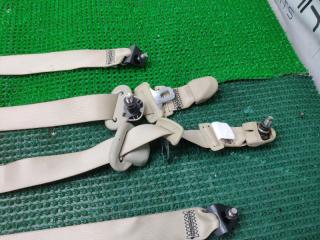 Ремень безопасности Nissan Elgrand MNE51 VQ25DE 88844WL600 2 ракурс
