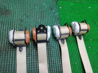 Ремень безопасности Nissan Elgrand MNE51 VQ25DE 88844WL600 5 ракурс