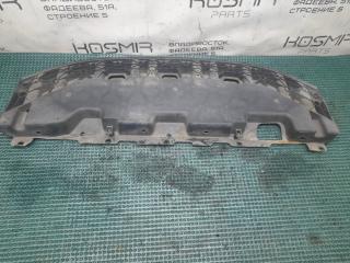 Защита передняя NISSAN LEAF ZE0 EM61 626633NC1A 2 ракурс