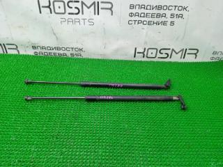 Амортизатор багажника задний NISSAN X-Trail NT31 MR20DE 90450JG00A 1 ракурс