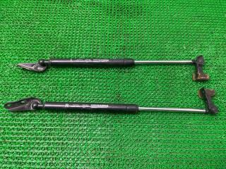 Амортизатор багажника TOYOTA Ipsum ACM21W 2AZ-FE 48531-49225 1 ракурс