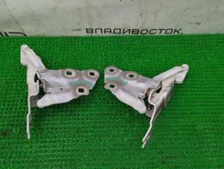 Петля капота BMW X3 F25 N47D20C 1 ракурс