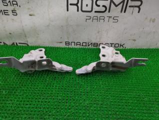 Петля капота BMW X3 F25 N47D20C 4 ракурс