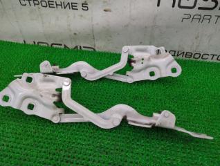 Петля капота BMW X3 F25 N47D20C 5 ракурс