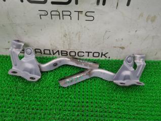 Петли капота Lexus HS250h 2009