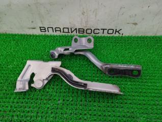 Петля капота Lexus HS250h ANF10 2AZ-FXE 53410-75020 4 ракурс