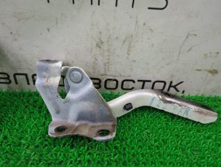 Петля капота Lexus HS250h ANF10 2AZ-FXE 53410-75020 3 ракурс